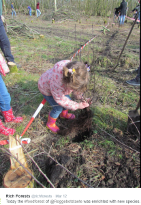 20160312 RF boomplant actie Roggebotstaete