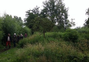 201607_voedselbos_vlaardingen_terp