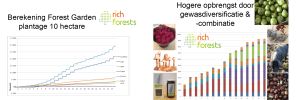 forest garden opbrengst grafieken RichForests