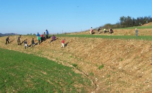 Tamera South Valley terraces community planting