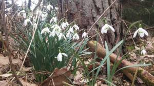 WhatsApp Image 2019-03-02 at 18.08.43